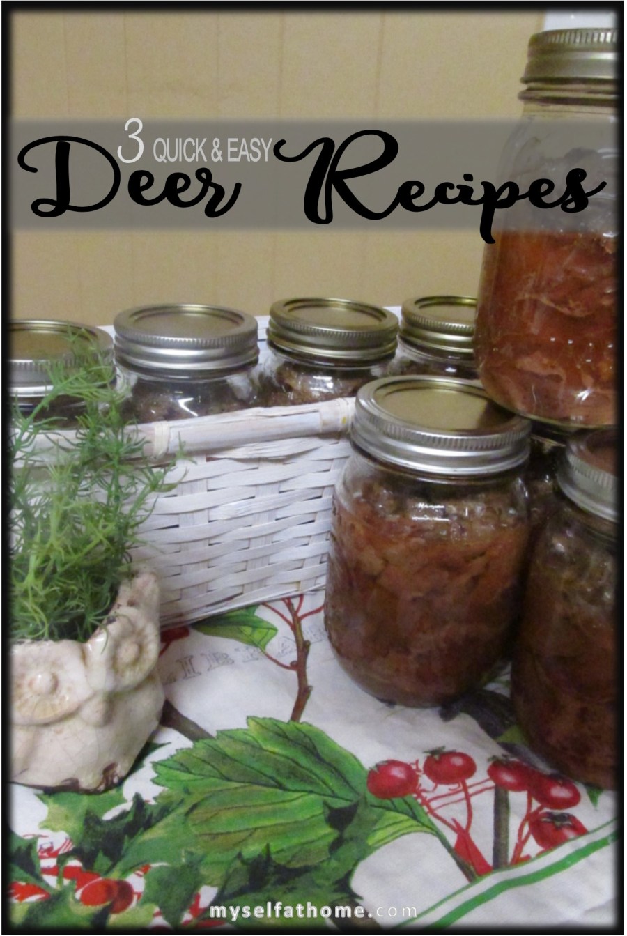 Quick Easy Deer Recipes