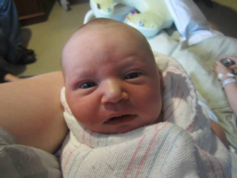 1925052_10203460003766942_549285332467961842_n